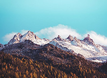 中超赛事直播-自由市场最后的大鱼！10队哄抢伊巴卡谁能脱颖而出